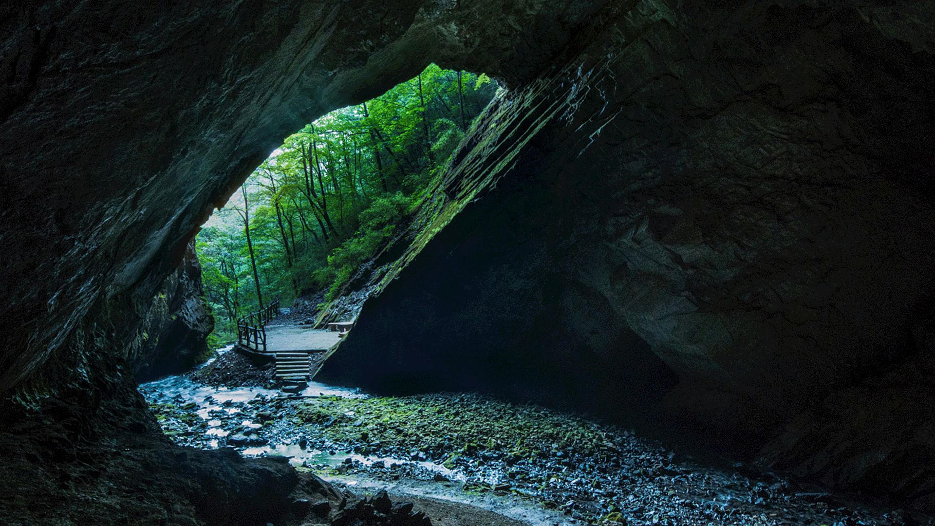 最近的小合成海报