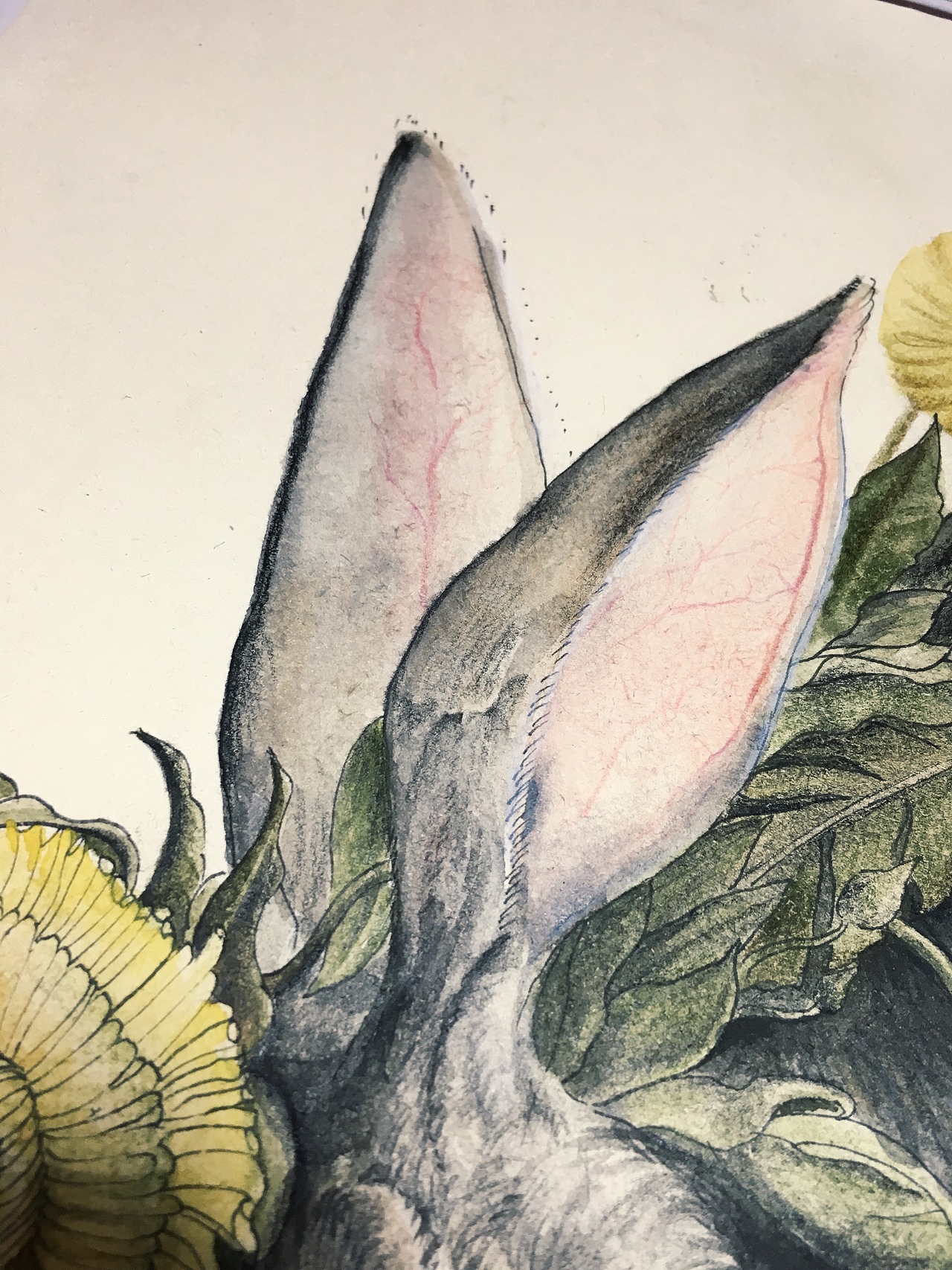 :rabbit:（图ZMTIwNzczNjky） - 创作习作 - 站酷设计师禹德水原创素材 - 站酷ZCOOL