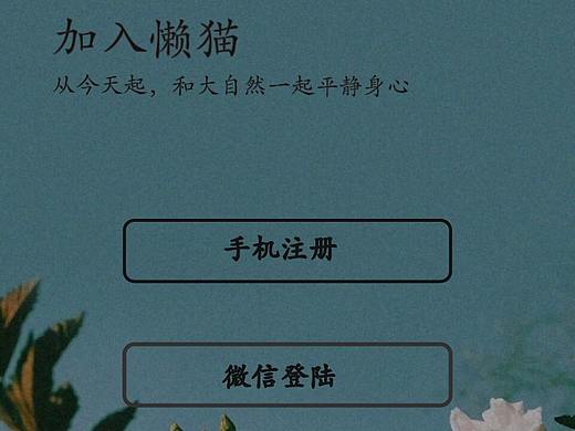 懒猫