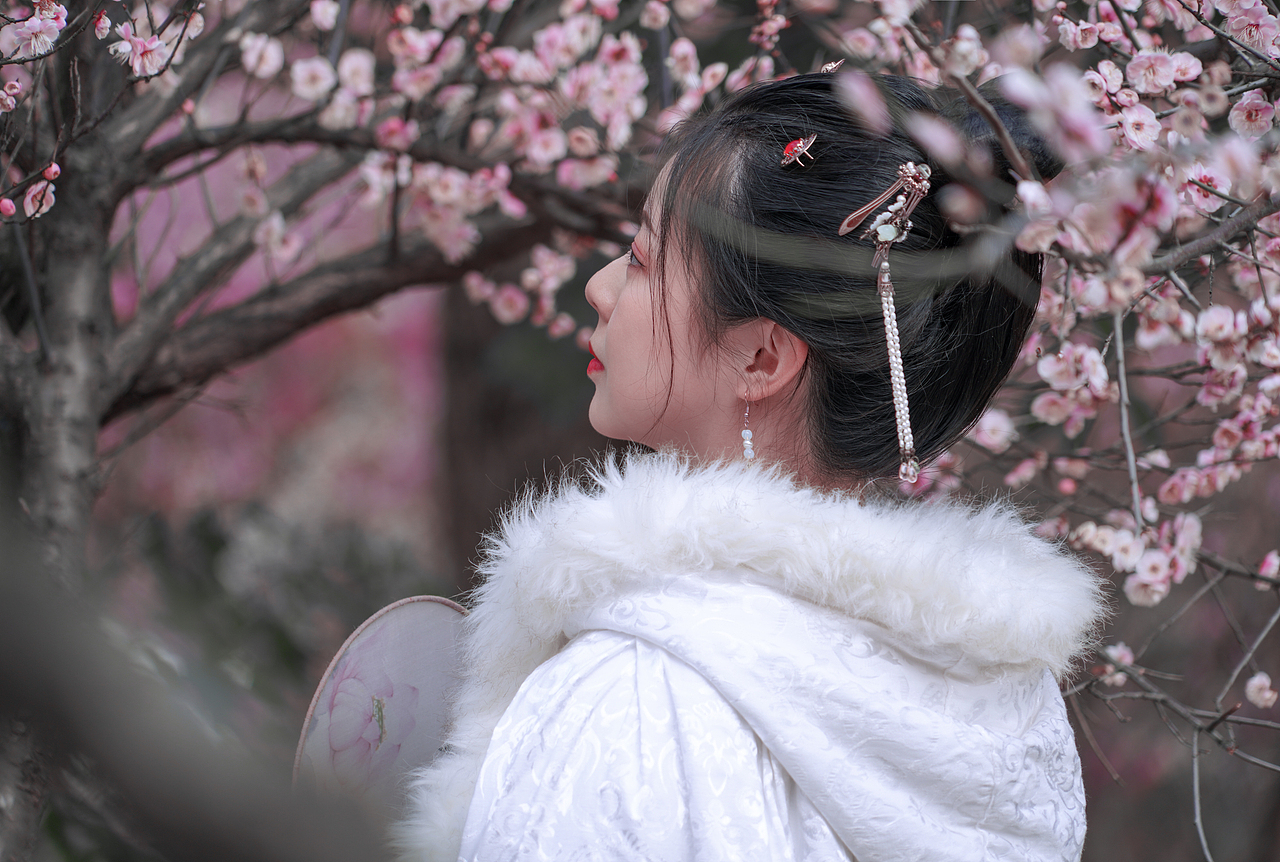 梅园汉服