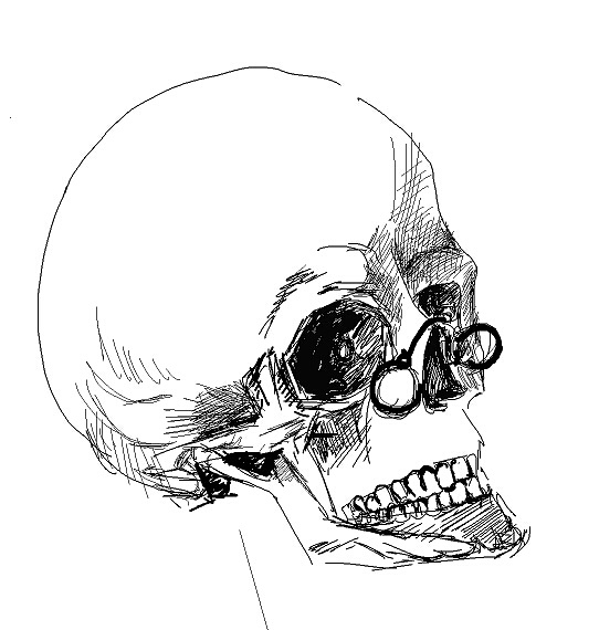 尝试作品 骷髅2