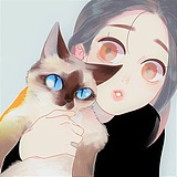 爱猫的帅宝的头像