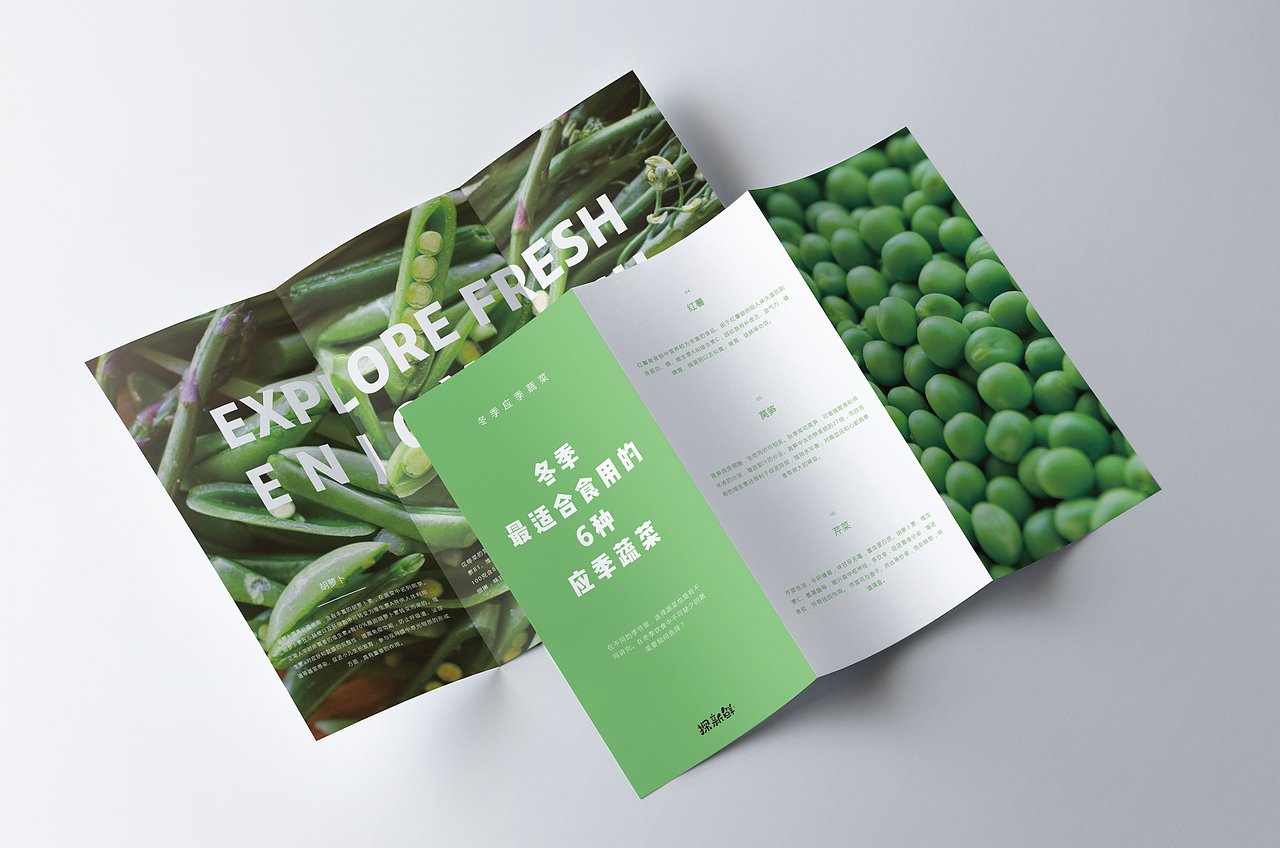 探新鲜 品牌VI设计