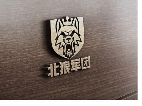 团队标志