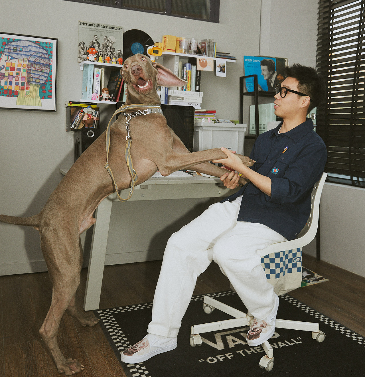 伸爪就vansvanscustomspetproject