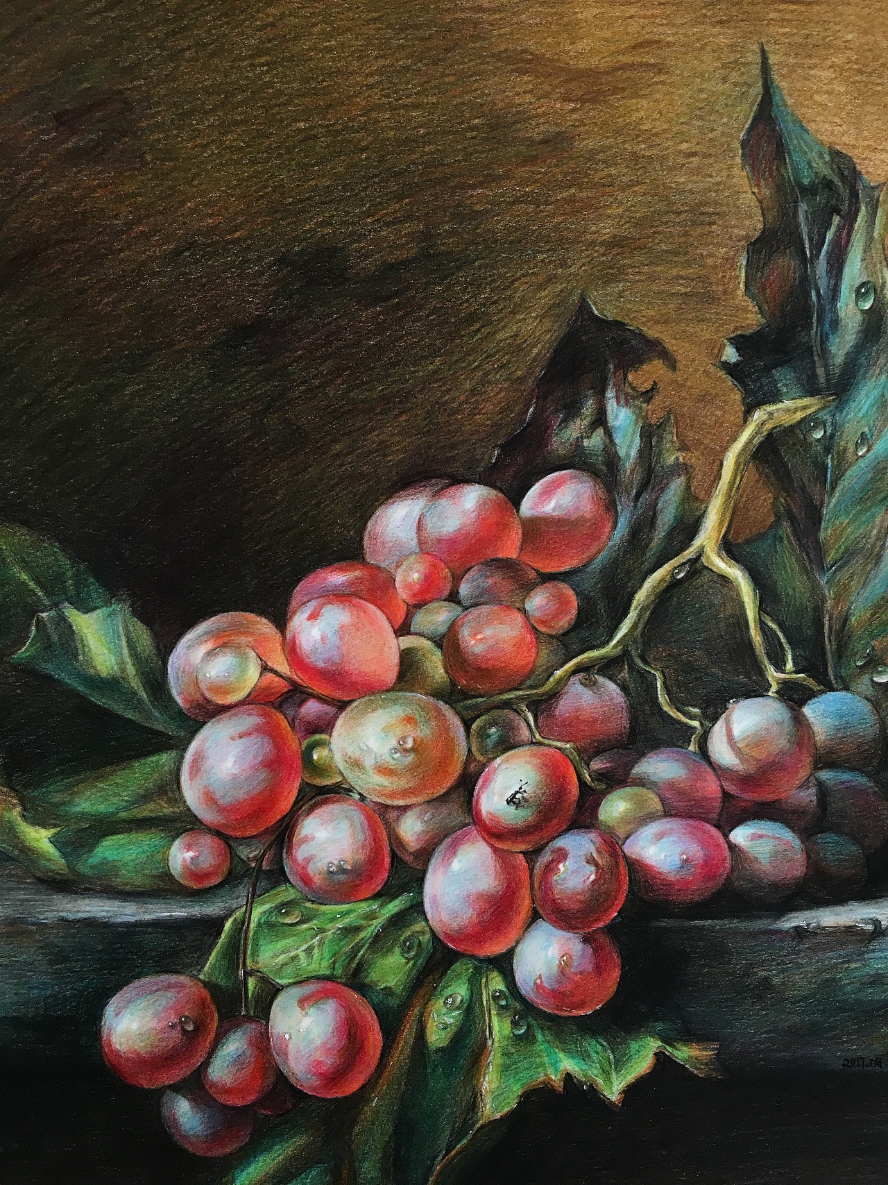 彩铅手绘——葡萄（图ZMTA1MDI2OTg0） - 绘画 - 站酷设计师w吴花花原创素材 - 站酷ZCOOL