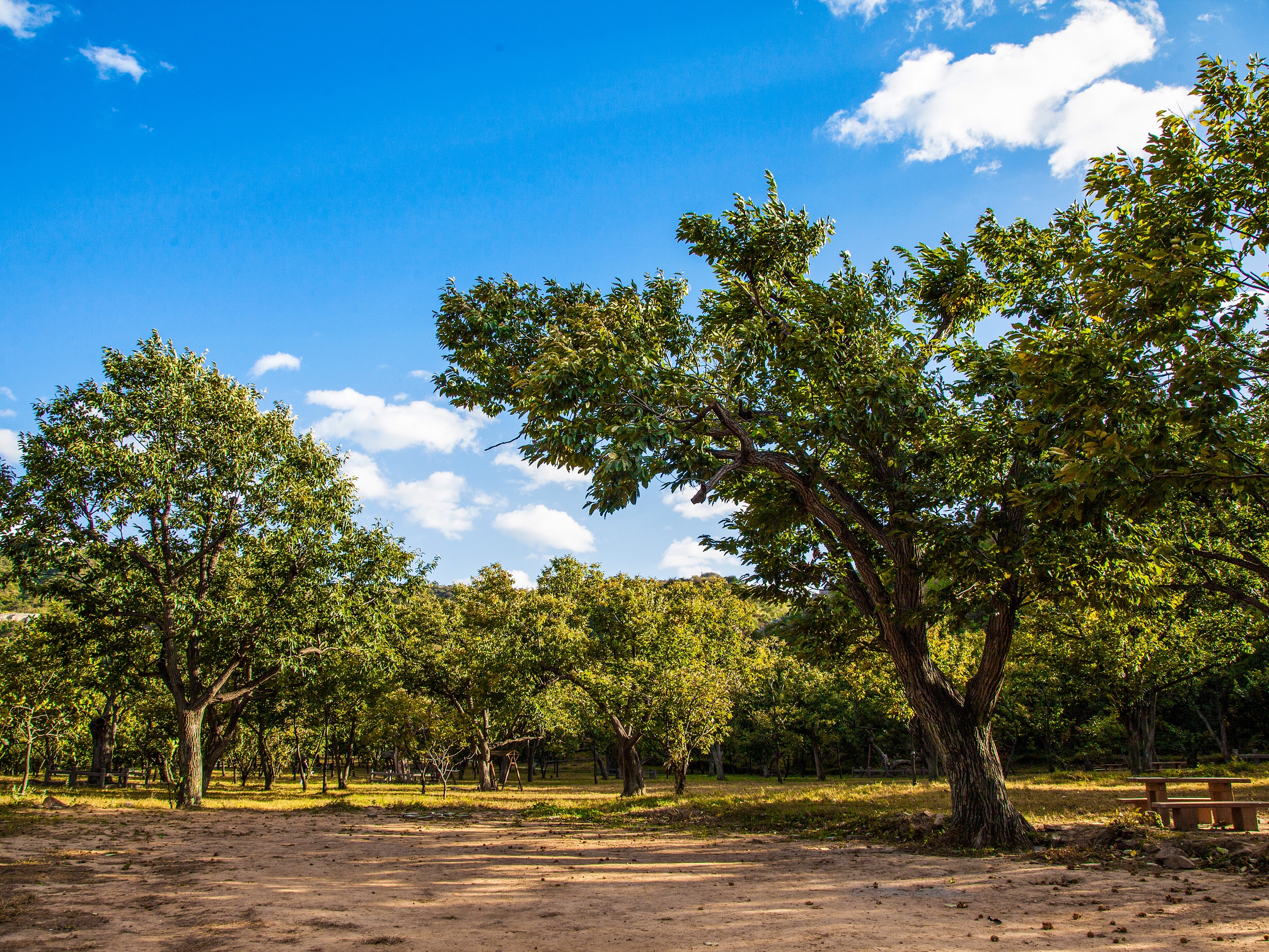 明代板栗园——北京怀柔黄花城水长城