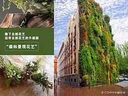 花藝師都在做民宿項目，別人為啥選你？