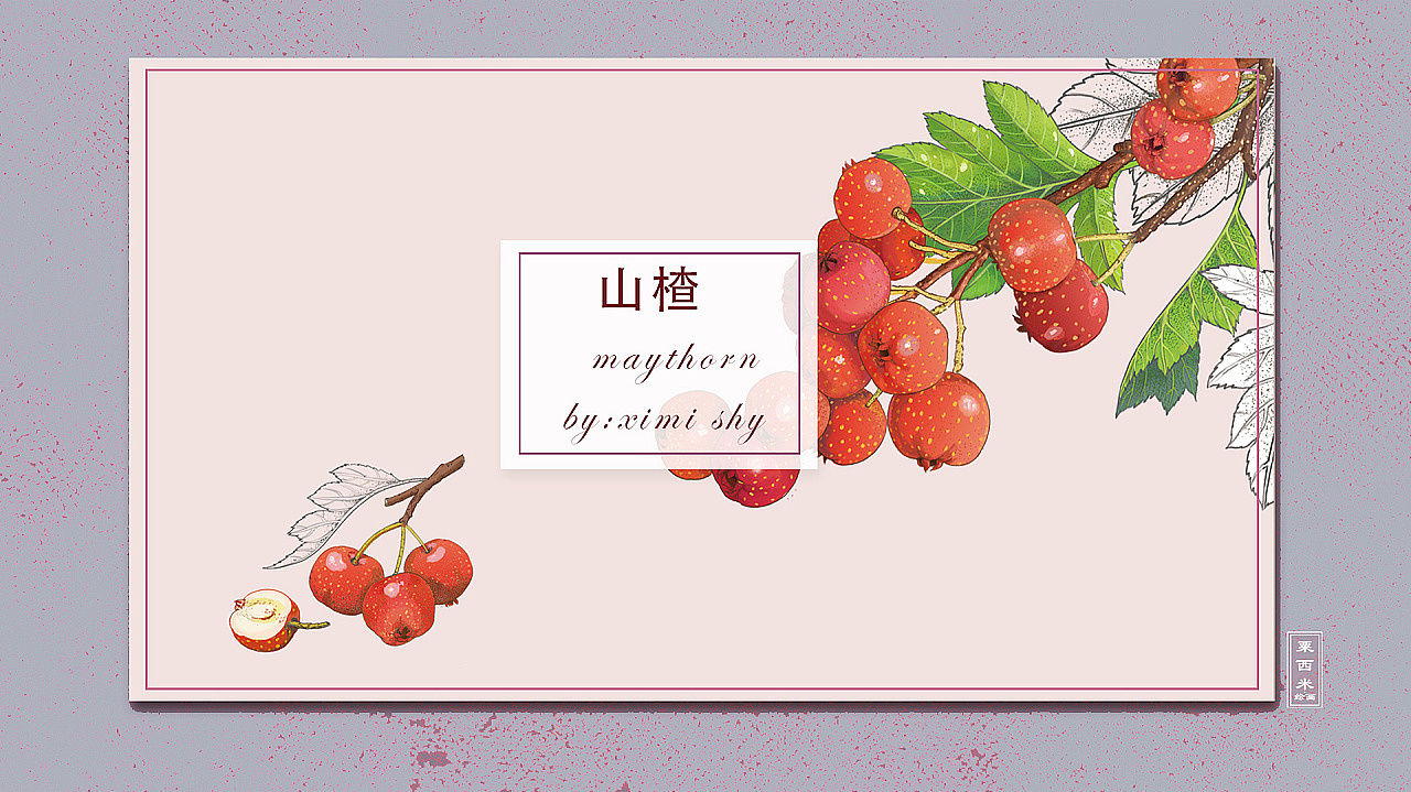 水果罐头包装插画——中粮梅林（图ZMTg4NjQzMTE2） - 商业插画 - 站酷设计师粟西米设计工作室原创素材 - 站酷ZCOOL