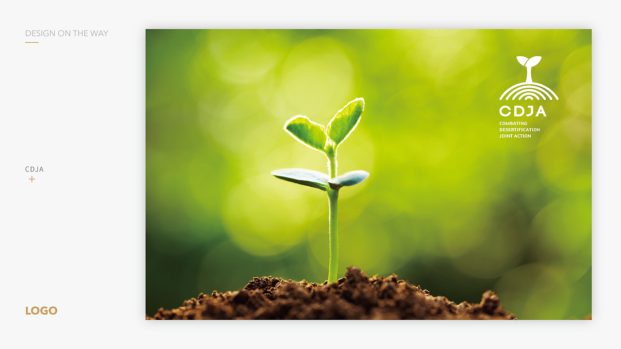 2016,设计在路上…… 2017,继续努力,喵~