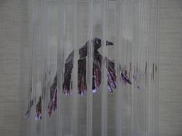 進(jìn)化——關(guān)于時(shí)間的想象