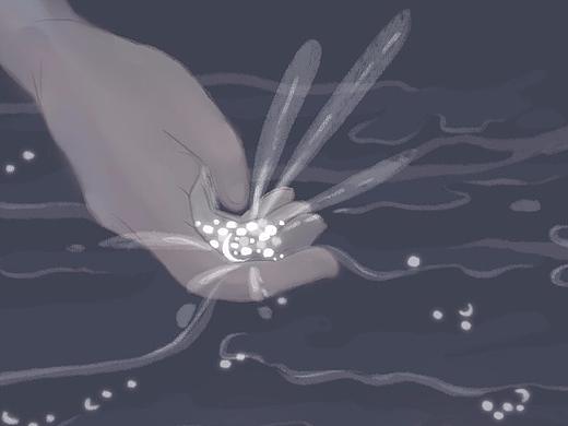 熠熠星河-关于羊的故事