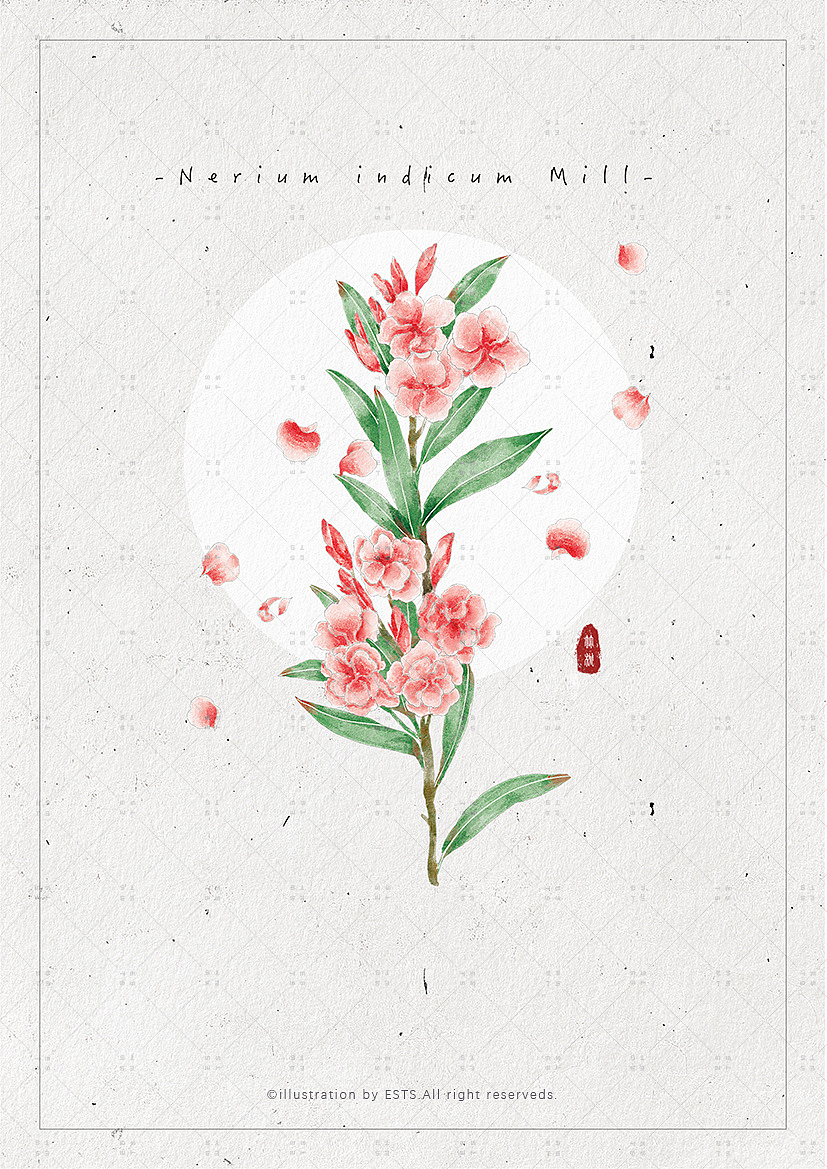 那些花儿-肆（图ZMTM3OTM5OTg0） - 创作习作 - 站酷设计师ESTS原创素材 - 站酷ZCOOL