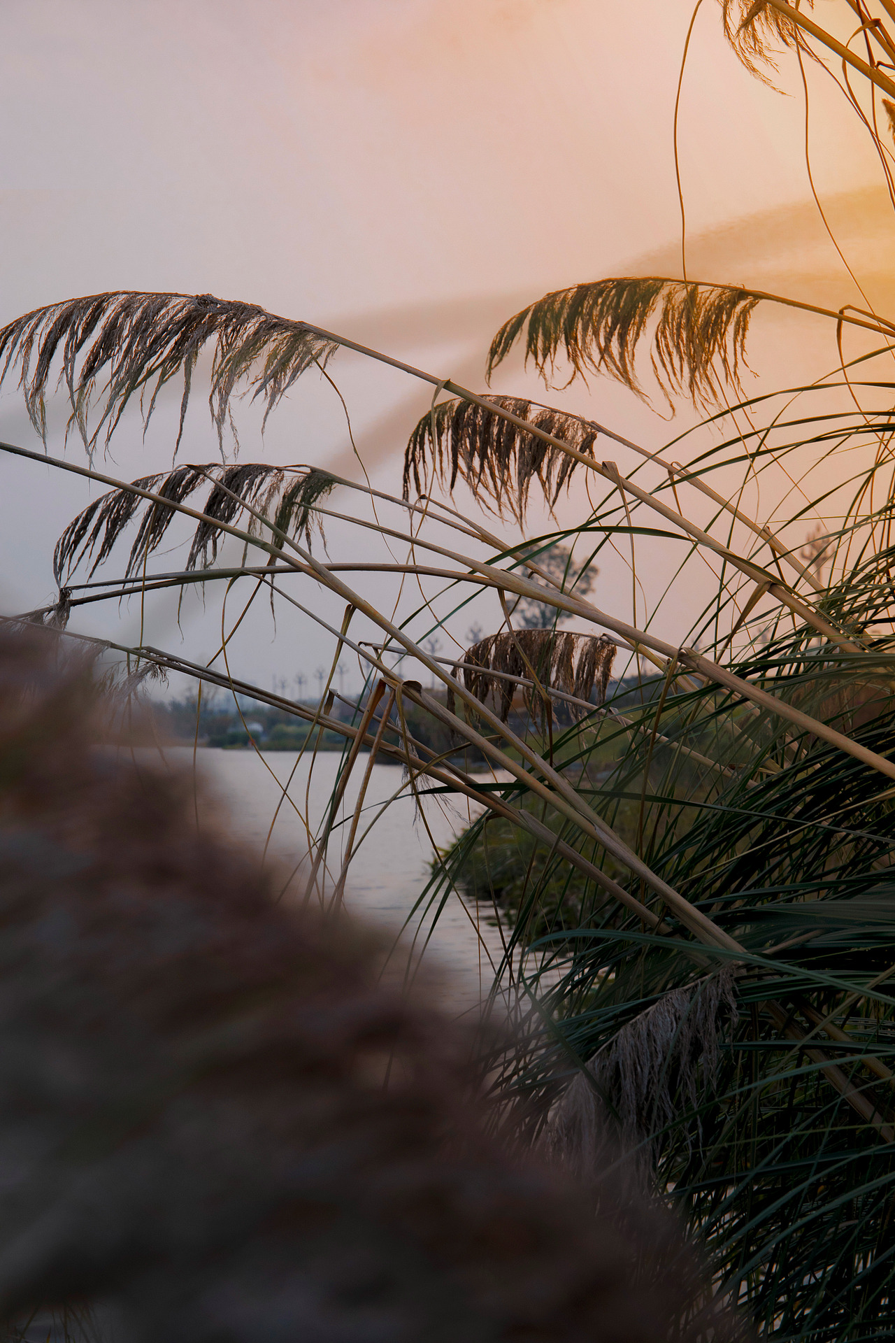 【芦苇少女】超级喜欢的一组片子