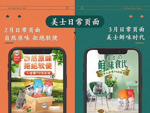 美士猫粮日常页面