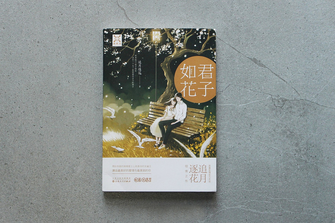 一些商业（封面）插画（图ZMTA4MTQyNDI0） - 商业插画 - 站酷设计师starry阿星原创素材 - 站酷ZCOOL