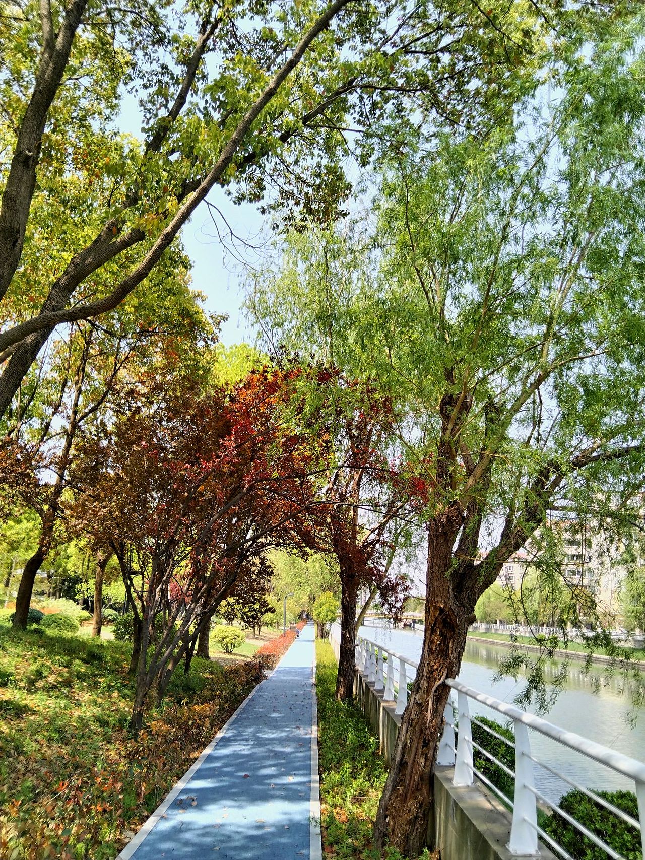 宝山.庙行公园（图ZMzY2NTM0NjMy） - 风光摄影 - 站酷设计师东逛西摄原创素材 - 站酷ZCOOL