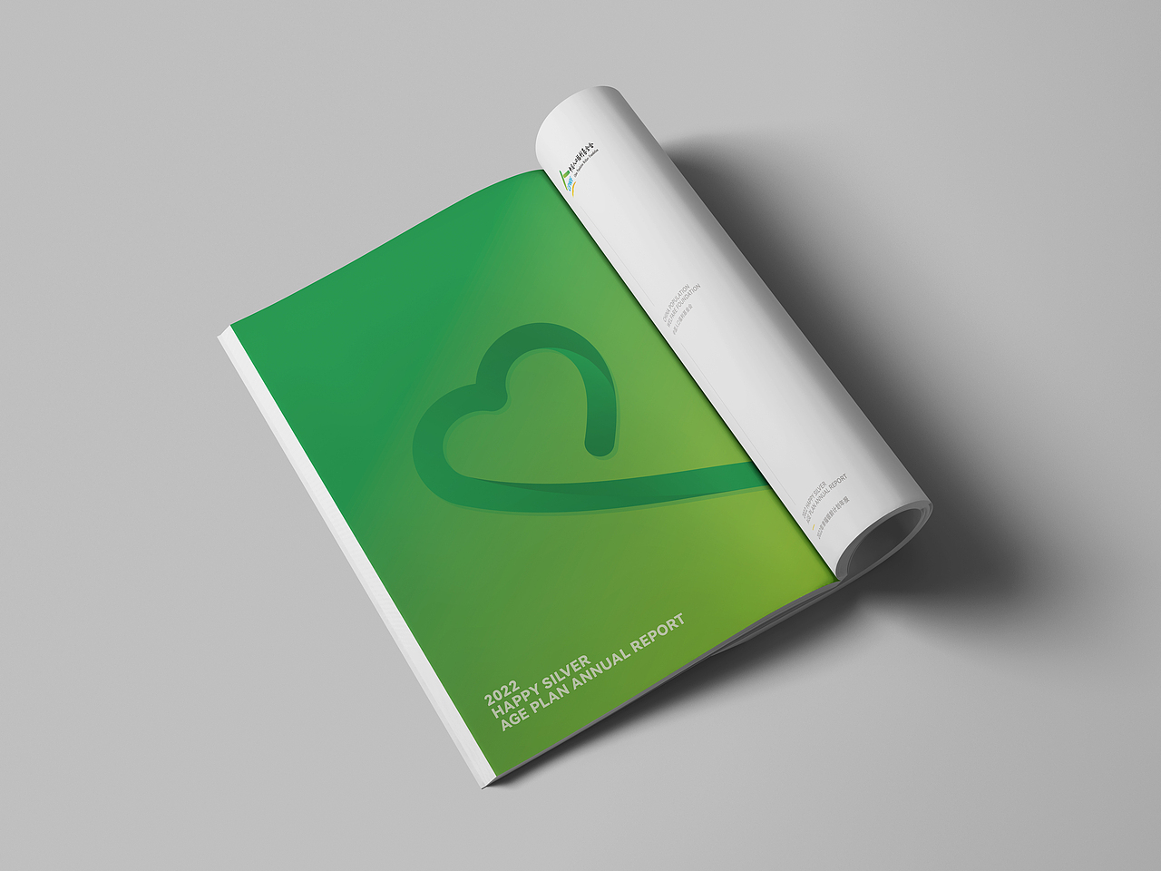 画册|公益行业工作报告