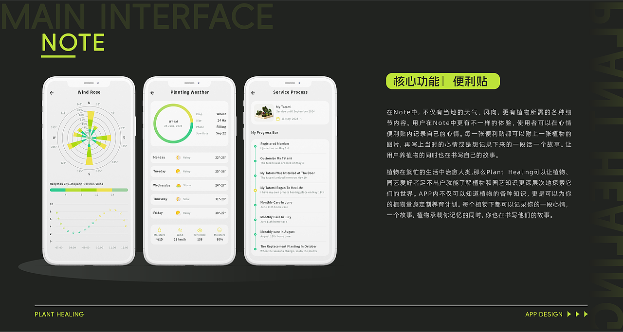 中国美术学院丨创新设计学院丨程同学丨向量设计
