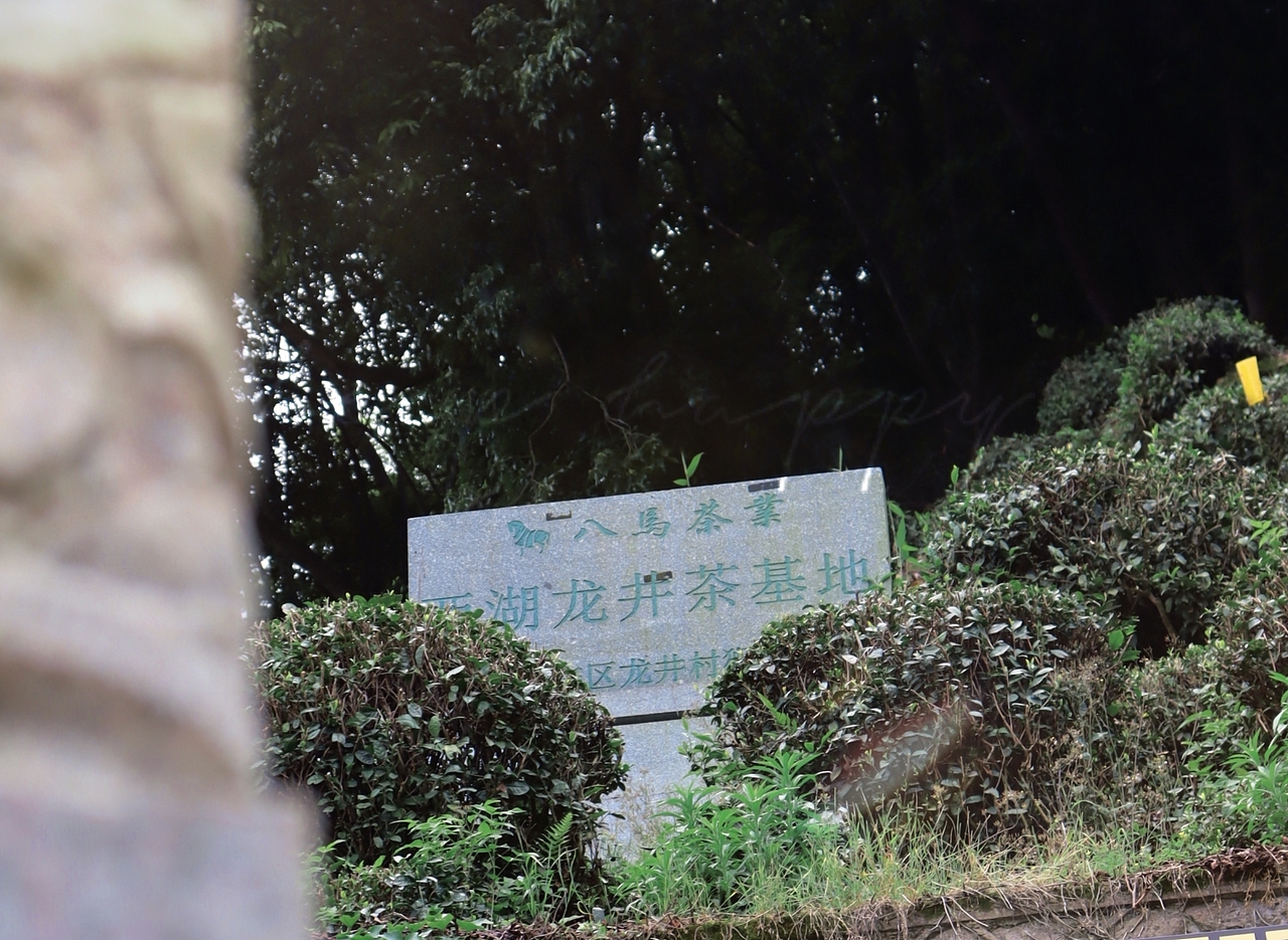 从龙井村到九溪十八涧（图ZMzQzNTM4MTA0） - 人文/纪实摄影 - 站酷设计师老黄影像日记原创素材 - 站酷ZCOOL