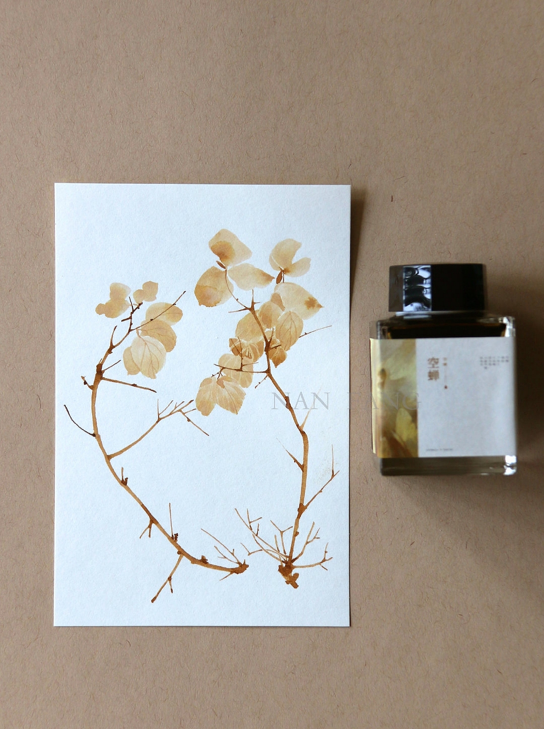 钢笔墨水手绘花卉插画绘画教程头像壁纸水彩教程古风（图ZMTcwMjU4OTY4） - 创作习作 - 站酷设计师熊猫胖哒原创素材 - 站酷ZCOOL