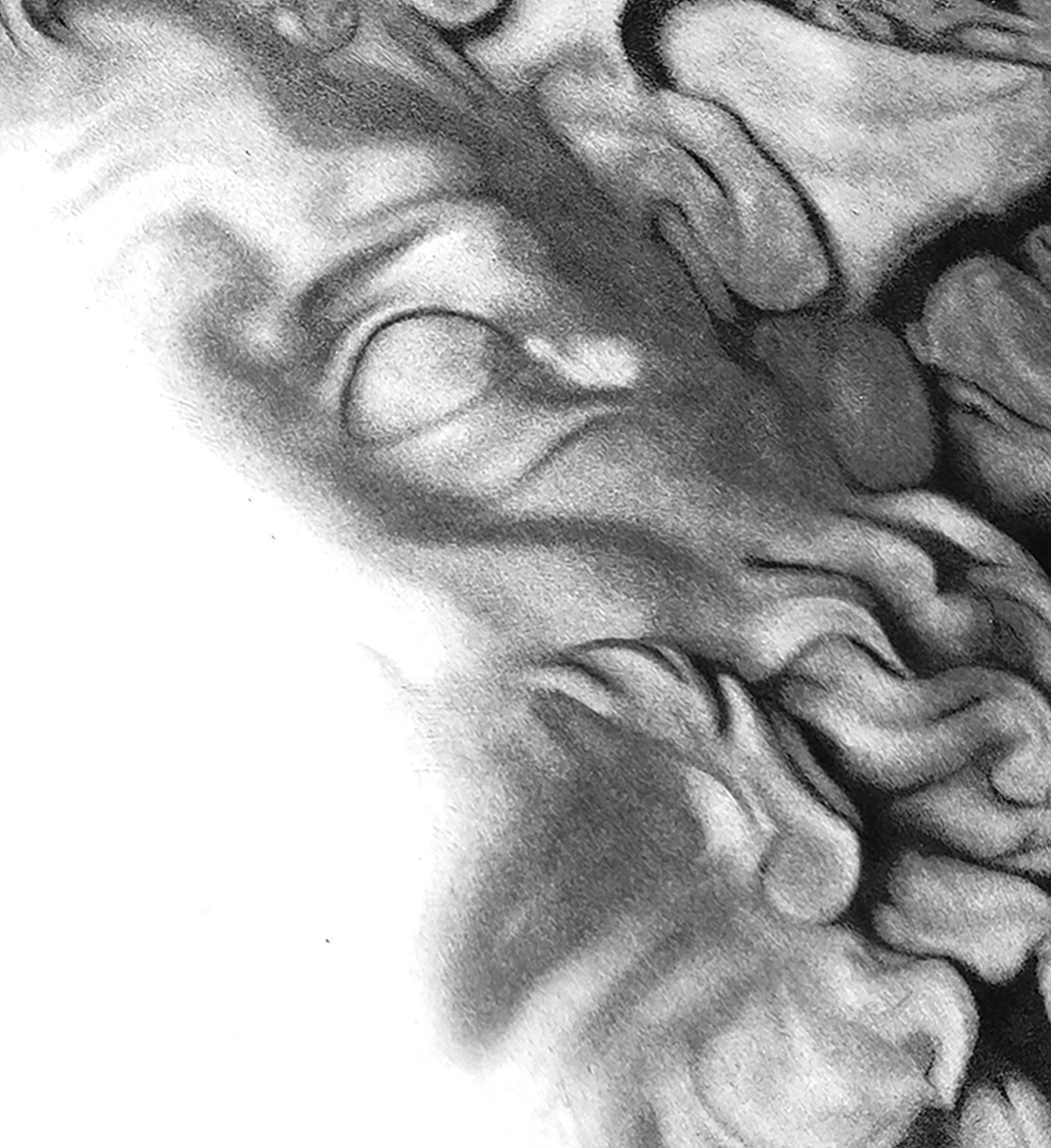 2021中央美术学院研究生毕业作品《灵泊》（图ZMjU1MjE3NzUy） - 绘画 - 站酷设计师双强原创素材 - 站酷ZCOOL