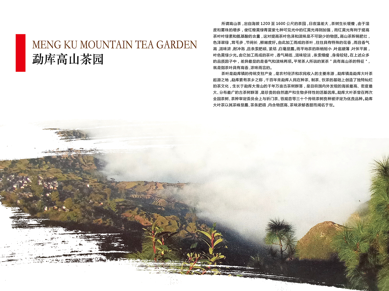 茶叶招商加盟手册