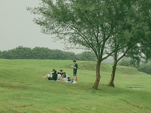 #人间四时#夏季雨天里的良渚古城（个人主页-ZNDYwMDU1OTI=） - 风光摄影 - 站酷设计师一修_原创素材 - 站酷ZCOOL