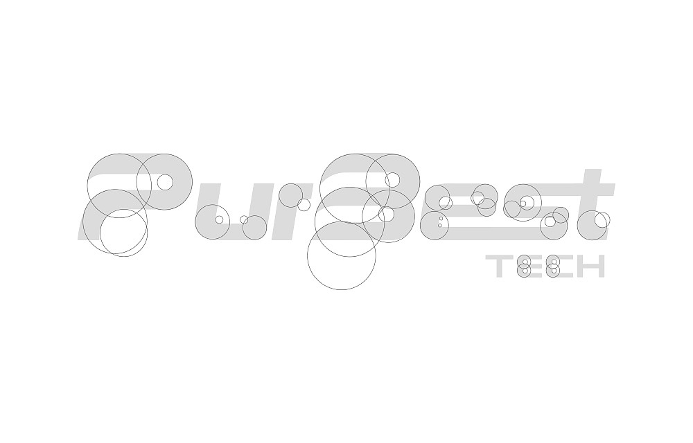 凌顶世纪(PurBest)科技品牌设计