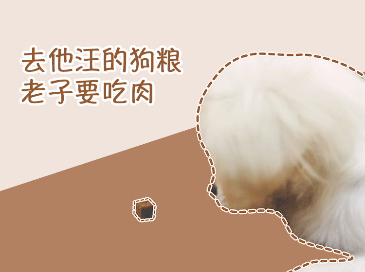 汪儿小白-表情包（图ZMTMyMjI2ODIw） - 宠物摄影 - 站酷设计师小番茄的喵原创素材 - 站酷ZCOOL