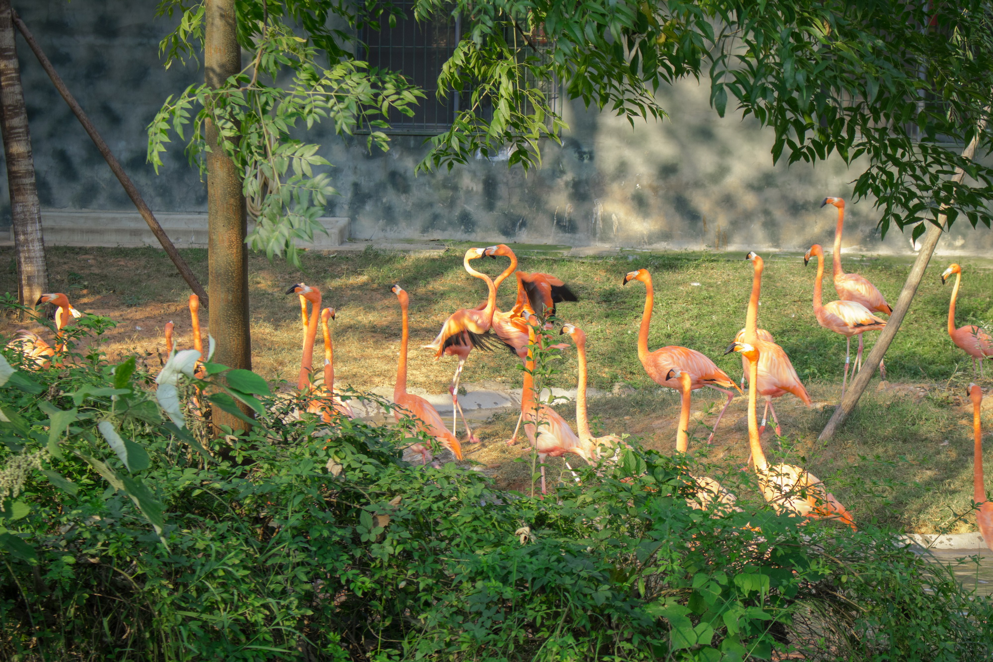么么鱼花园的个人主页（封面预览） - 主页封面设置 - 站酷设计师么么鱼花园原创素材 - 站酷ZCOOL