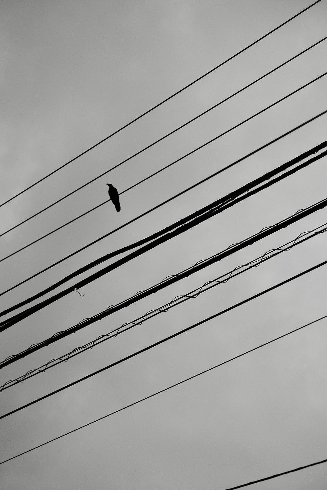 黑白灰的世界（图ZMjI5OTA3Mzcy） - 风光摄影 - 站酷设计师SEKll原创素材 - 站酷ZCOOL