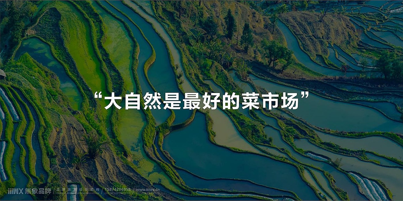 衡洲府三菜一汤（图ZMTc4NDM3MTA4） - 品牌 - 站酷设计师無象品牌原创素材 - 站酷ZCOOL