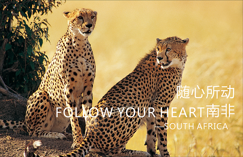 《万象极致》创刊号(2) 