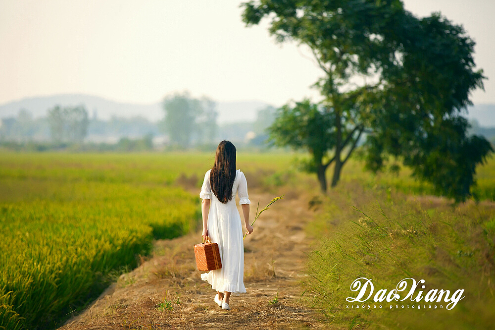 稻香（图ZMzU0NjExNjg=） - 人像摄影 - 站酷设计师xjtomb原创素材 - 站酷ZCOOL