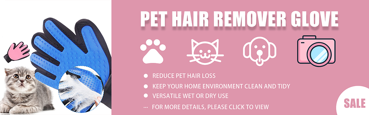 外贸自建站banner