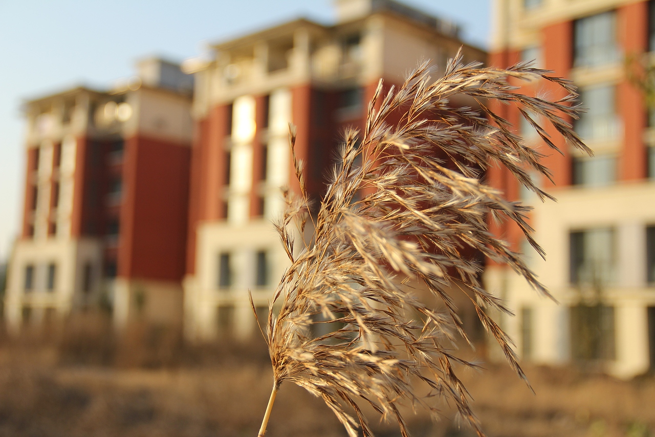 大学的那些日子（图ZNjUzODgyODg=） - 风光摄影 - 站酷设计师阿丹阿丹原创素材 - 站酷ZCOOL