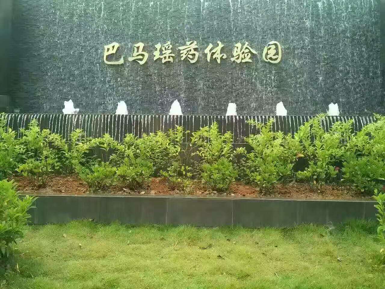 巴马瑶药体验园（图ZMTkwOTg3NTEy） - 生活用品 - 站酷设计师巴马五宝堂原创素材 - 站酷ZCOOL