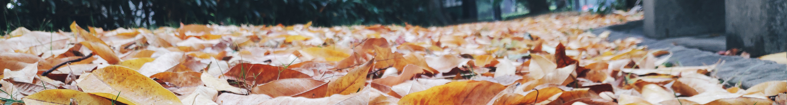 風(fēng)鈴拾球球的個人主頁（封面預(yù)覽） - 主頁封面設(shè)置 - 站酷設(shè)計(jì)師風(fēng)鈴拾球球原創(chuàng)素材 - 站酷ZCOOL