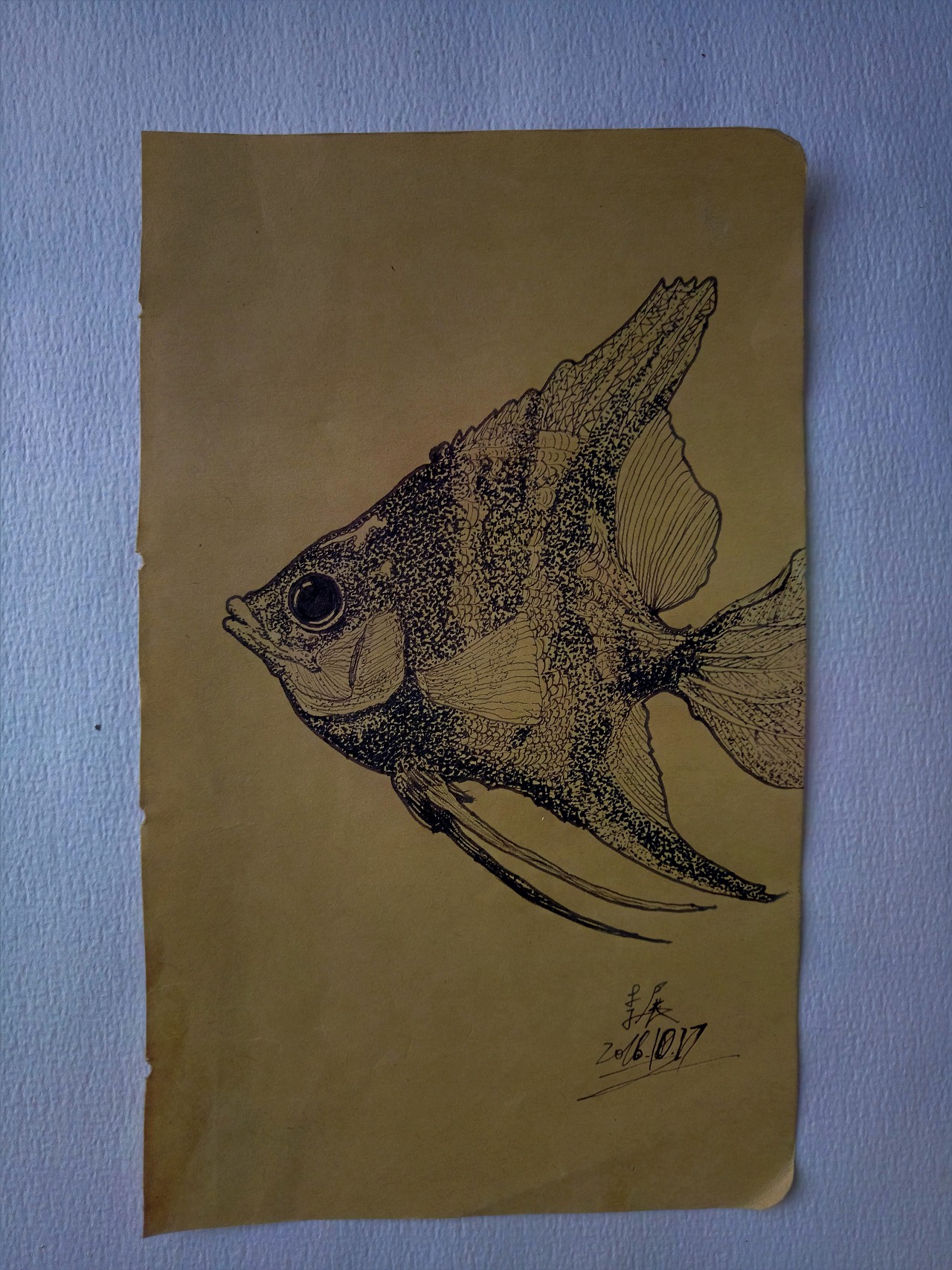 鱼|纯艺术|绘画|银耳鱼的梦 - 原创作品 - 站酷 (zcool)