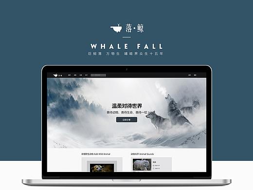 落鲸动物保护网页设计