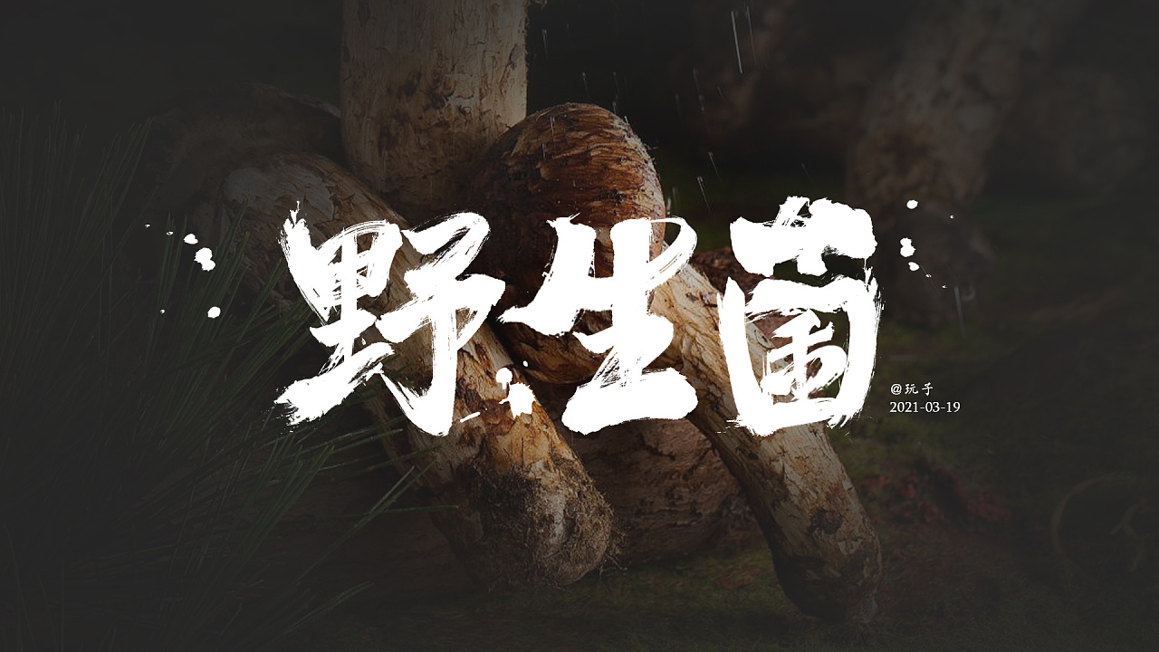 野生菌|平面|字体/字形|滇玩子 - 原创作品 - 站酷 (zcool)