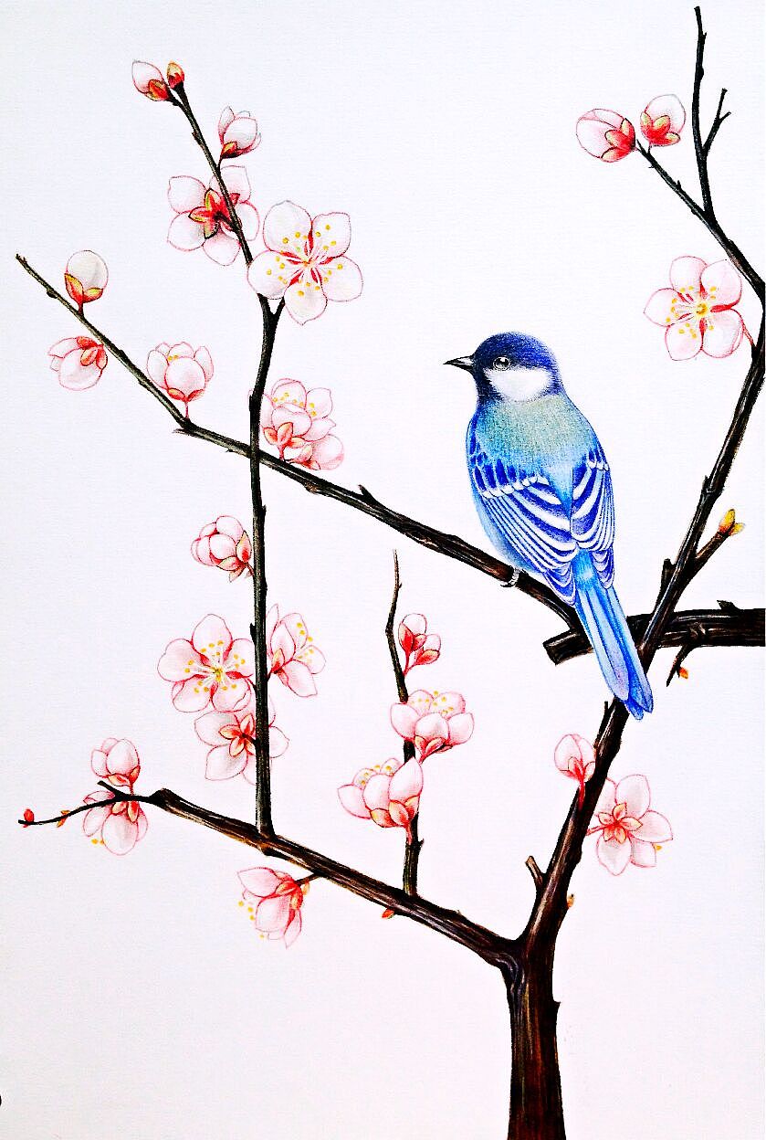 江梅山雀图（图ZMjc3NDM2MDQ=） - 绘画 - 站酷设计师幻oO影原创素材 - 站酷ZCOOL