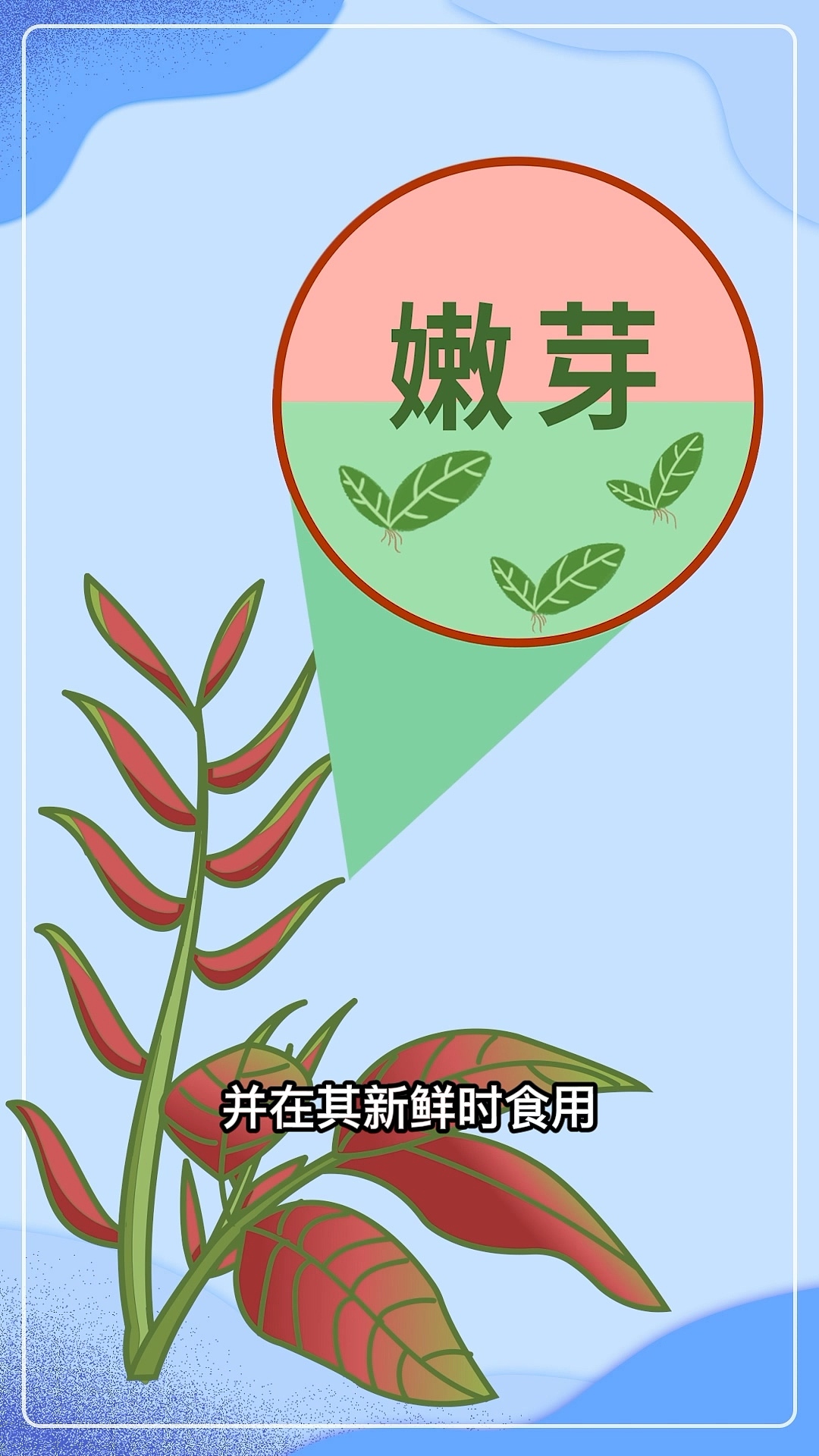 眼视界样片剪辑