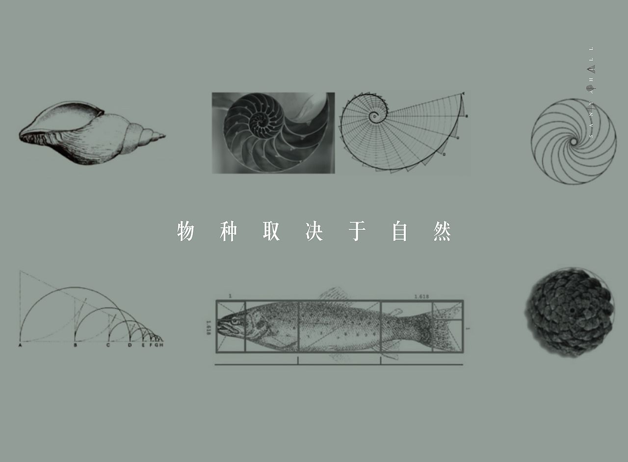 三亚的山丨哲思的浅山（图ZOTIxODk3OTY=） - 书籍/画册 - 站酷设计师圆桌创意原创素材 - 站酷ZCOOL
