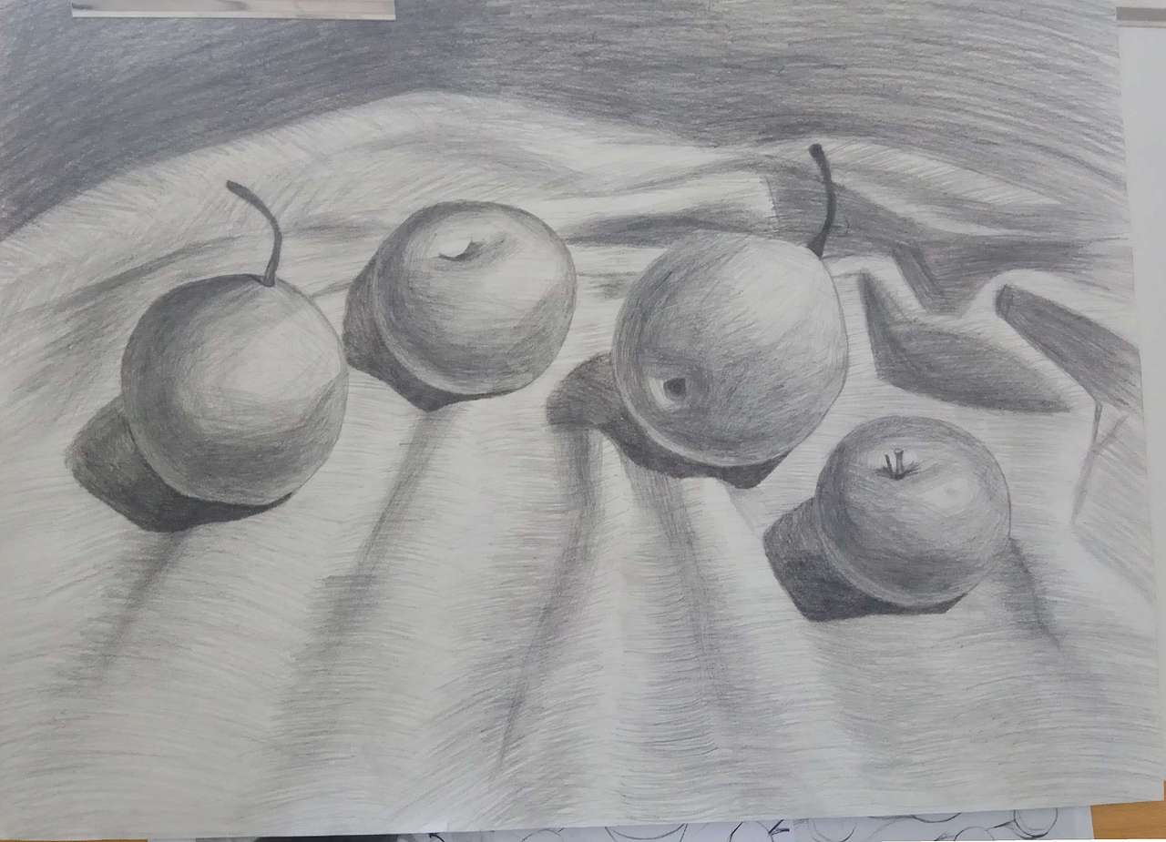 【手绘作品】-素描