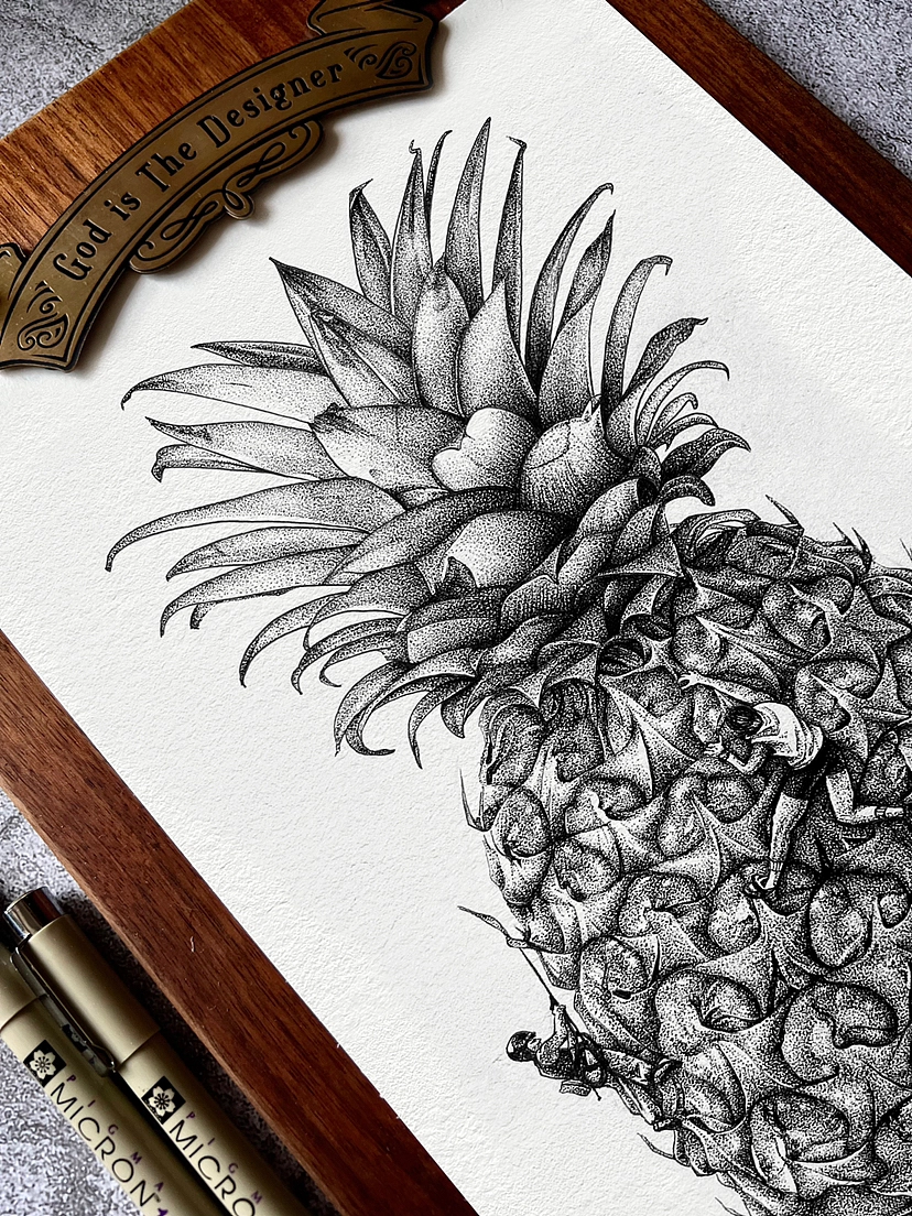 钢笔点绘——菠萝联想