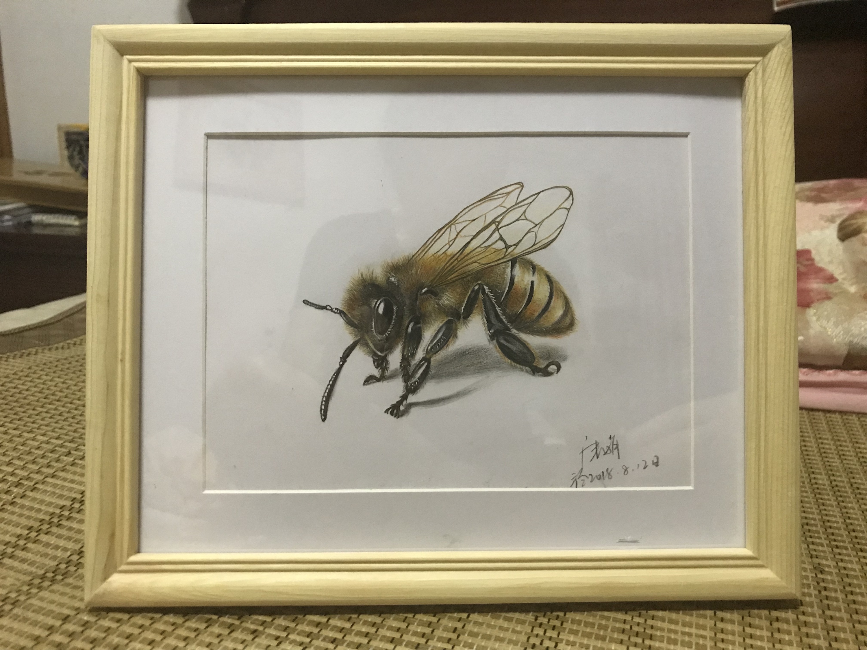 彩铅手绘——小蜜蜂