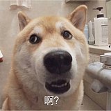 用戶頭像