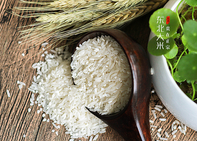 东北大米（图ZODU1NTQ3MjQ=） - 产品摄影 - 站酷设计师小虎哥原创素材 - 站酷ZCOOL